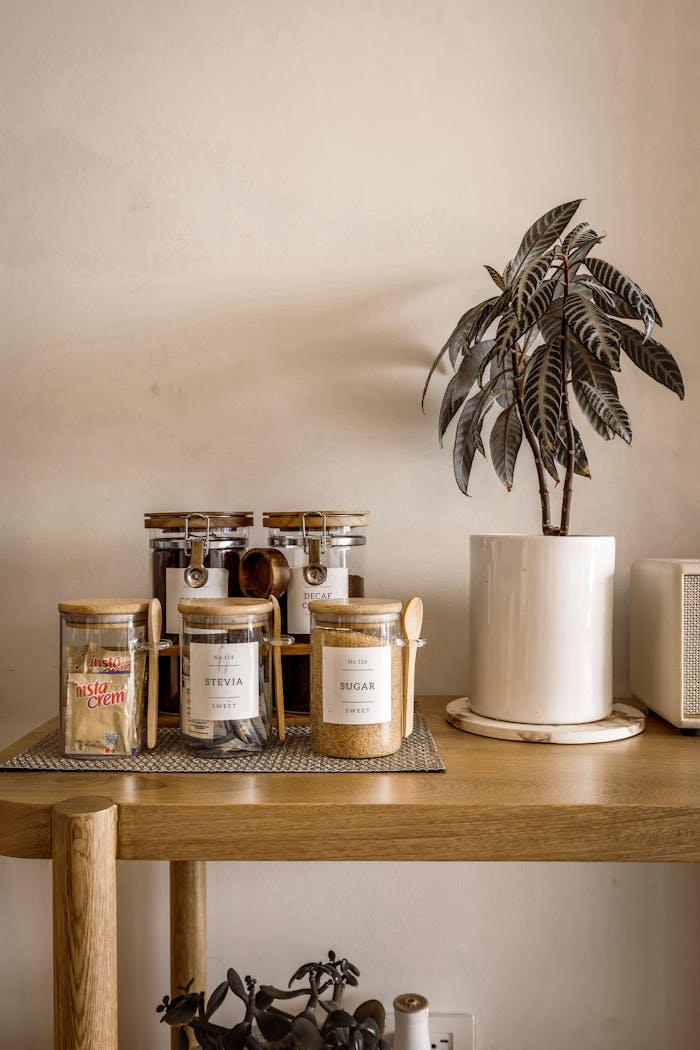 Inviting kitchen shelf display with labeled jars and decorative plant.